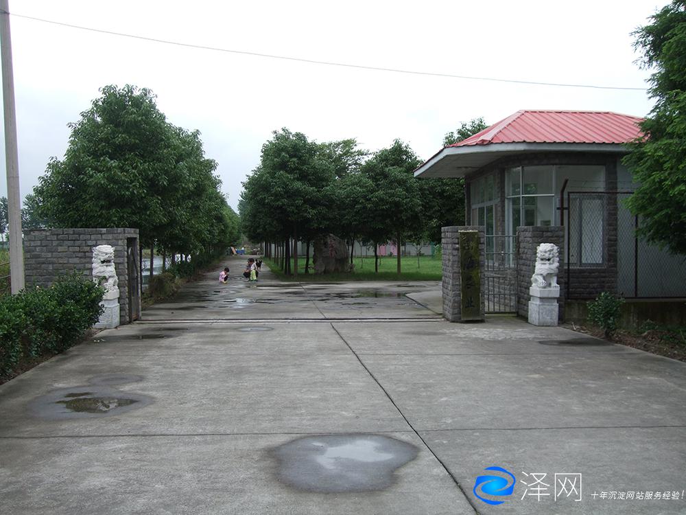 蘇州某農業園產品攝影外拍 商業攝影 太倉商業攝影 昆山商業攝影 常熟商業攝影 張家港商業攝影 蘇州商業攝影 第3張 蘇州某農業園產品攝影外拍 商業攝影 太倉商業攝影 昆山商業攝影 常熟商業攝影 張家港商業攝影 蘇州商業攝影 第3張