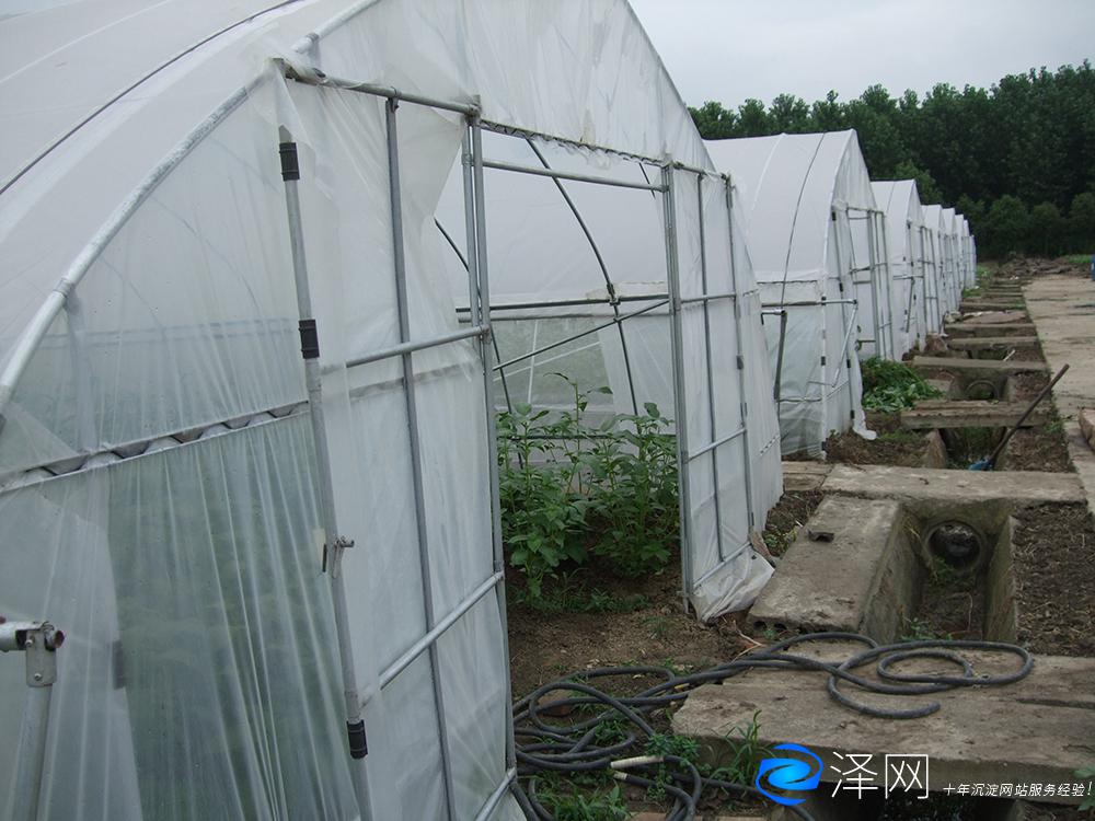 蘇州某農業園產品攝影外拍 商業攝影 太倉商業攝影 昆山商業攝影 常熟商業攝影 張家港商業攝影 蘇州商業攝影 第2張 蘇州某農業園產品攝影外拍 商業攝影 太倉商業攝影 昆山商業攝影 常熟商業攝影 張家港商業攝影 蘇州商業攝影 第2張