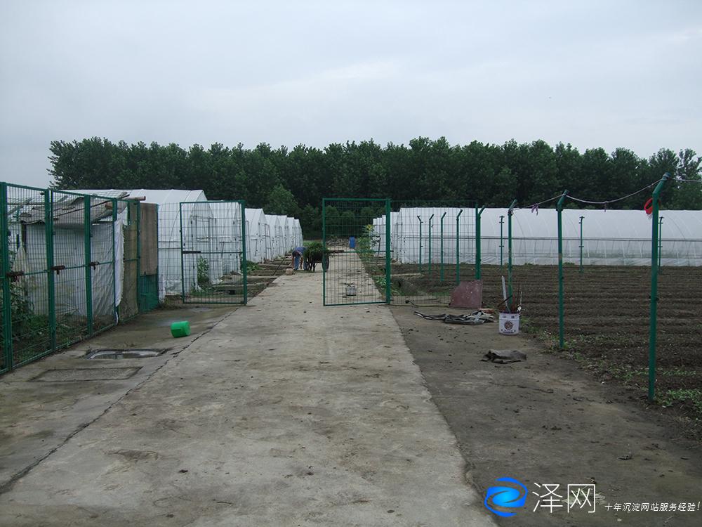 蘇州某農業園產品攝影外拍 商業攝影 太倉商業攝影 昆山商業攝影 常熟商業攝影 張家港商業攝影 蘇州商業攝影 第1張 蘇州某農業園產品攝影外拍 商業攝影 太倉商業攝影 昆山商業攝影 常熟商業攝影 張家港商業攝影 蘇州商業攝影 第1張